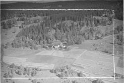 Råbøl gård, Hunder, 12.09.1952, kulturlandskap, løvskog, gra