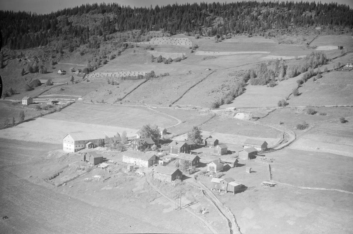 Olstad gård, Øyer, 1952, li, flere gårder, jordbruk, slåttonn, hesjing, kornstaur
