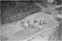 Rusten gård, Øyer, gårdsdrift, blandingsskog