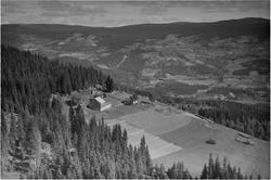 Bakkom gård. Tretten, Øyer, 28.08.1953, ligger høyt med utsi