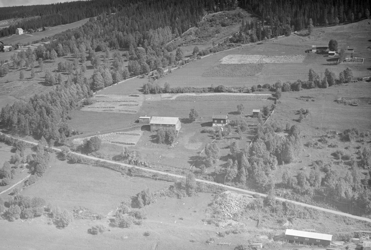 Langgårdsstugua/Solstad, Tretten, Øyer, 28.08.1953, oversiktsbilde, jordbruk, slåttonn, hesjer, blandingsskog