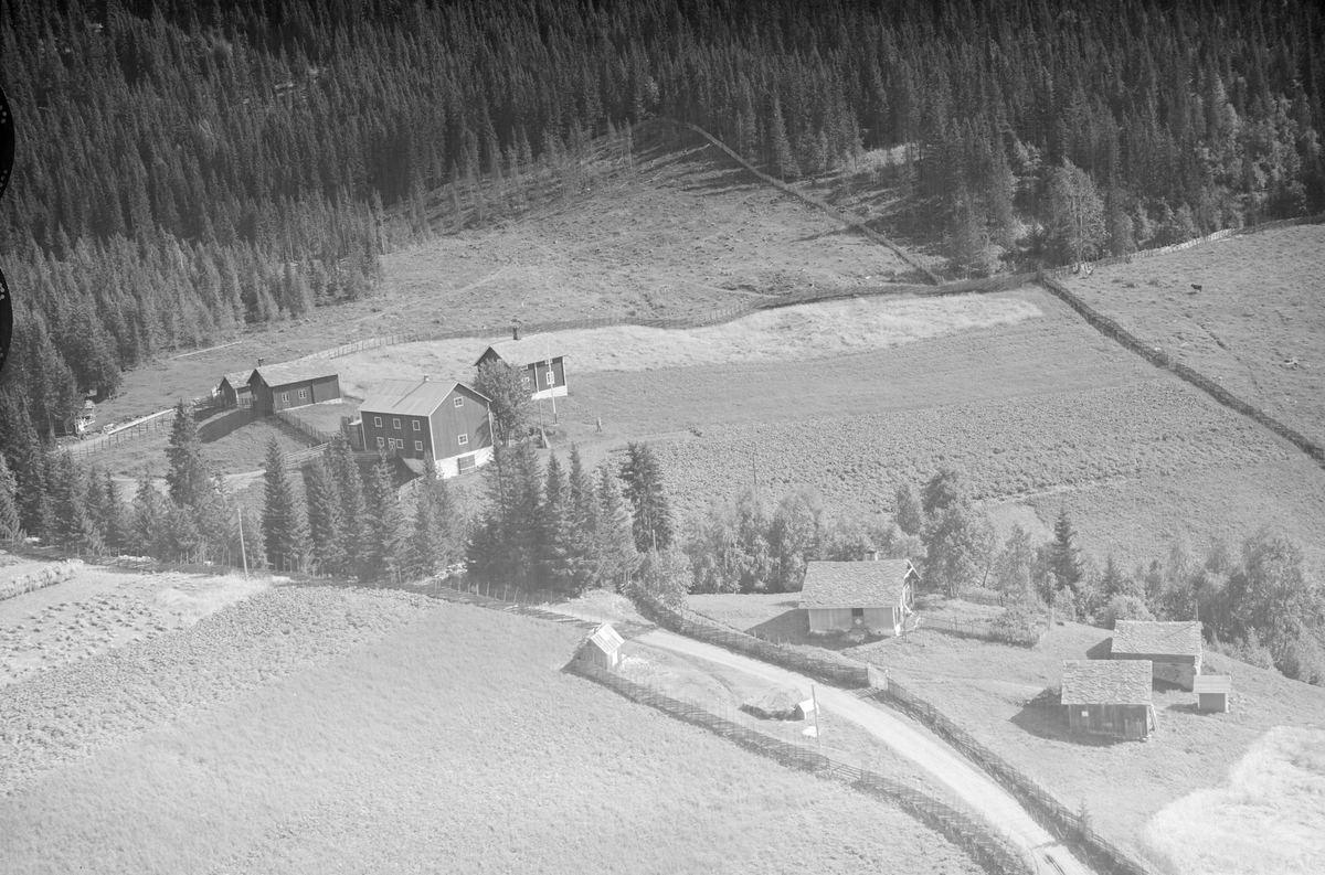 Skogli gård, Tretten, Øyer, med Vedumsstugua til høyre. Jordbruk, slåttonn, hesjing, granskog,