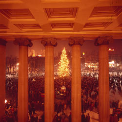 "Julegranen er nettop tent. Universitetsplassen, Oslo”