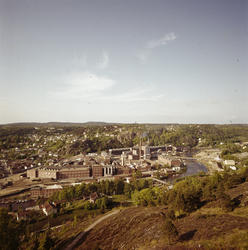 Saugsbrugsforeningen