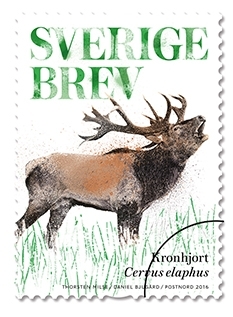 Frimärken i häfte, med fem självhäftande frimärken i fem motiv av olika hjortdjur. Valör Brev, 6,50 kr.
