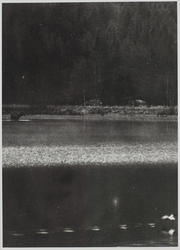 Elg ved Strandefjorden, Ål