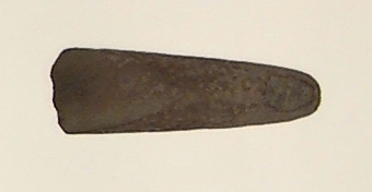 Trindyxa, fragment. Torde ursprungligen ha haft ett i det närmaste cirkelrunt tvärsnitt. Den bevarade eggbildande sidan planslipad. Eggen kraftigt slipad, resten svagare slipad.