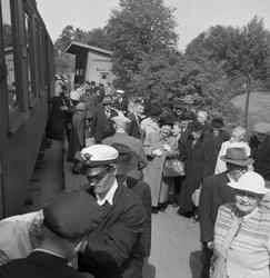 Pensjonister på utflukt til Vikhammerløkka