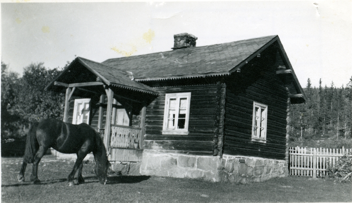 Hesten står utenfor gamlestua, Braka i Hedalen, Sør-Aurdal.