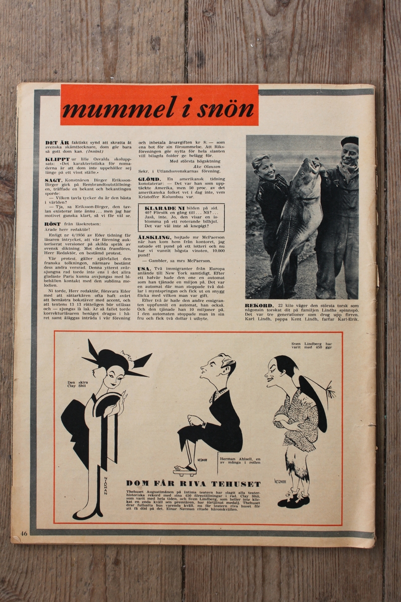 Tidningen Se 24 februari-2 mars 1956.