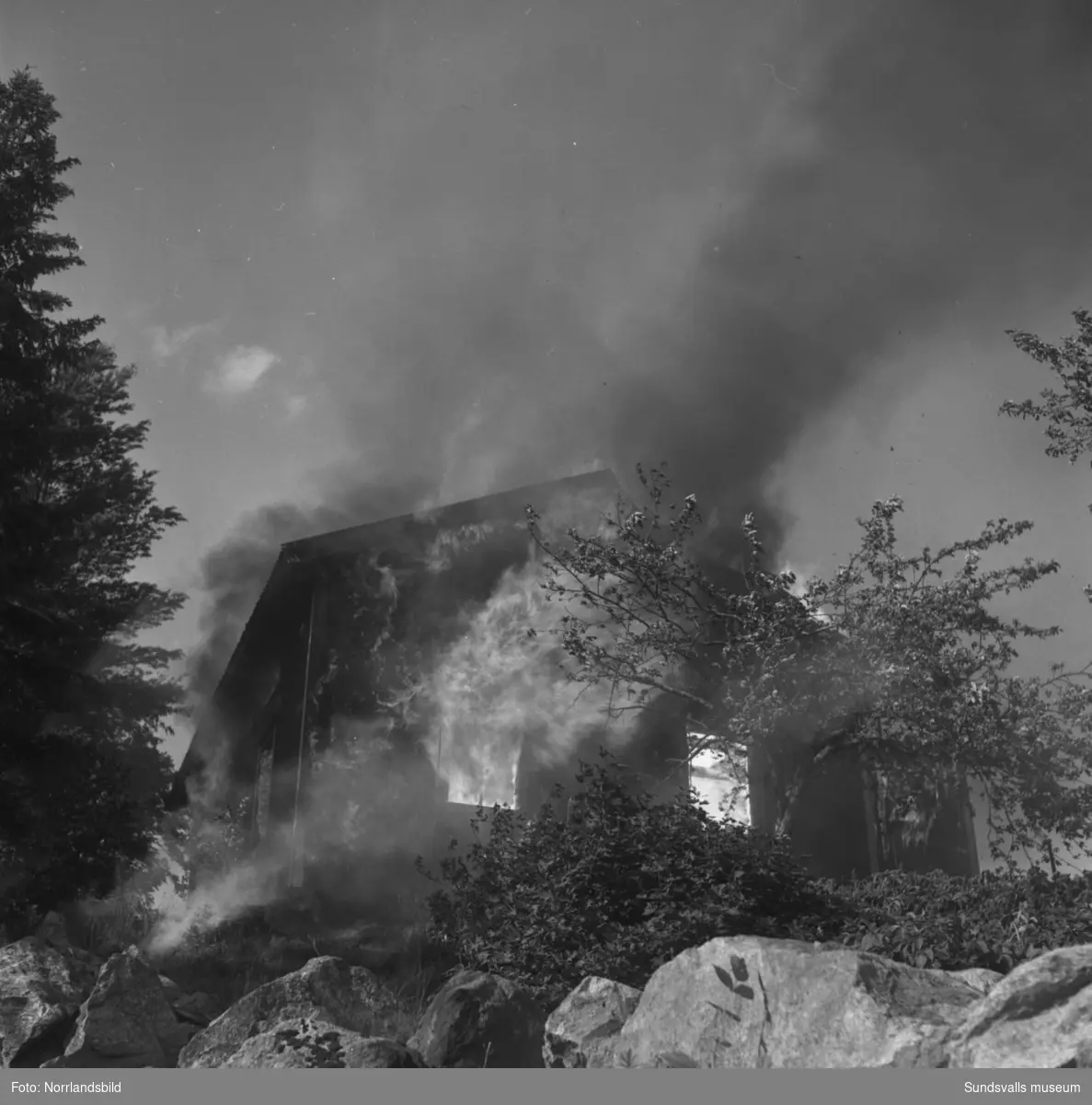Tre byggnader slukades av elden i en våldsam brand i Allsta. Branden startade i hemmansägare Ture Lindboms ladugård och spred sig snabbt till ladugården hos Valdemar Dahlberg och sedan vidare till Dahlbergs bostadshus. Inga människor kom till skada men en häst och omkring 80 höns omkom i lågorna.