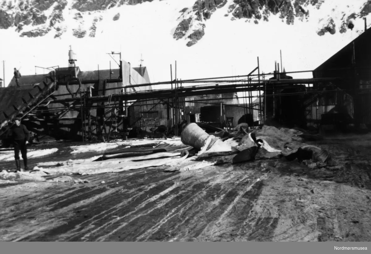 Foto fra Grytviken i Sør-Georgia, og fra en norsk hvalstasjon der, og viser fra slaktingen av en hval. Bildet kan dateres mellom 1959 til 1960. Fotograf er trolig Rolf Karlsen. Fra Nordmøre museums fotosamlinger.