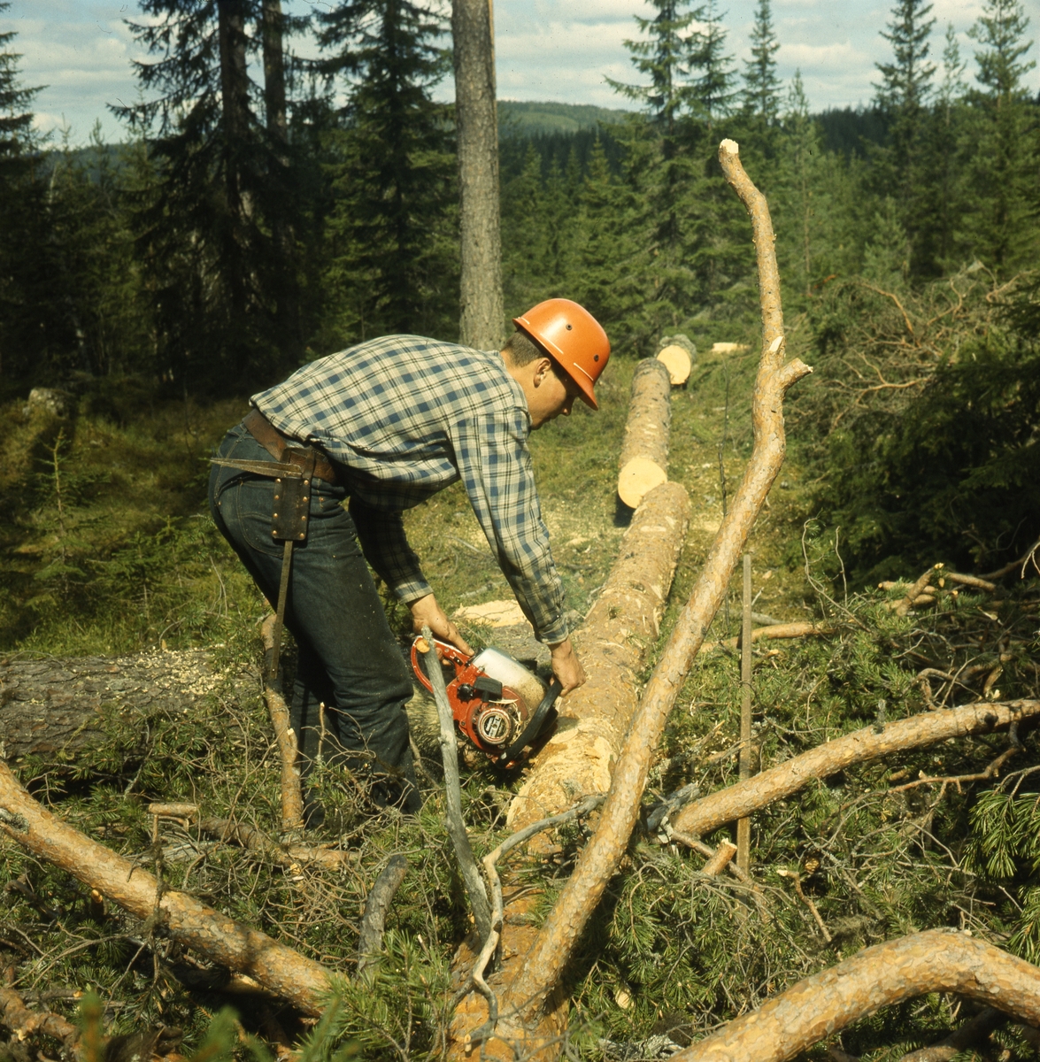 Aptering med motorsåg. (Aptering är uppdelning av trädet i sortiment av olika längder.) Här jobbar en ung man med hjälm och motorsåg med en trädstam.