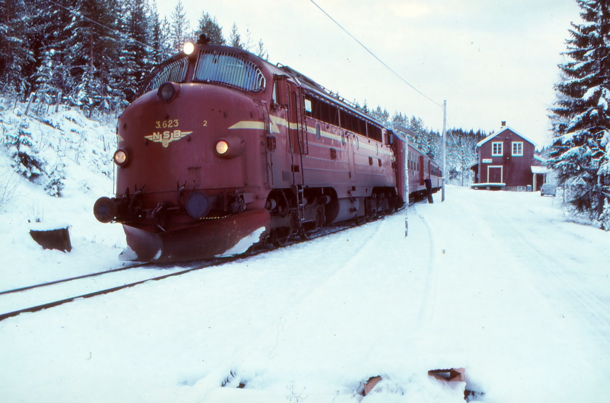 NSB dieselelektrisk lokomotiv Di 3 623 på Trevatn stasjon med persontog Fagernes - Oslo S.