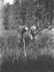 Krepsefiske/ krepsing i Spydeberg  (i Storelva?), kl. 3 om m