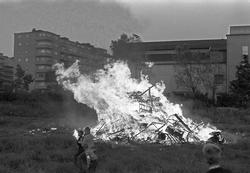 Serie. Gutter ved st. hansbål, Marienlyst, Oslo.