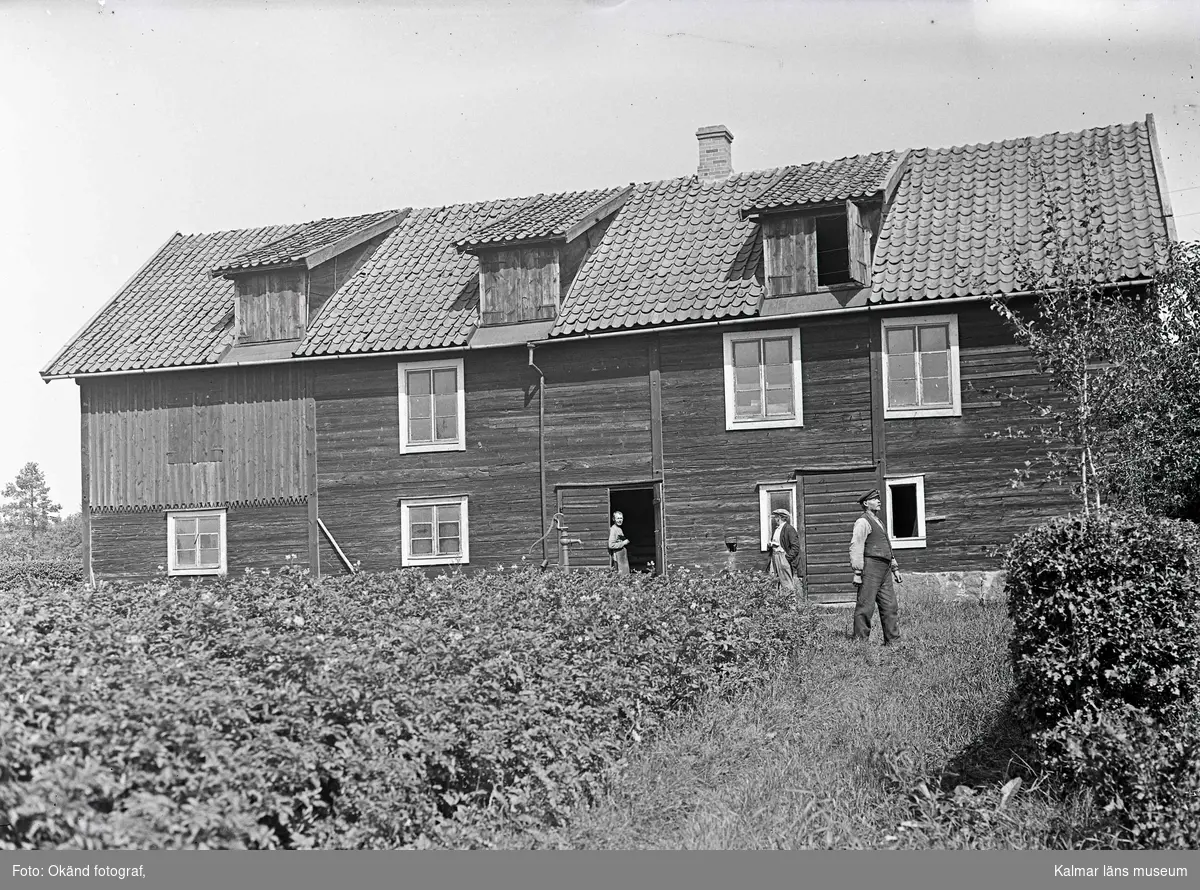 Pigglodd - Sunnmøre Museum / DigitaltMuseum