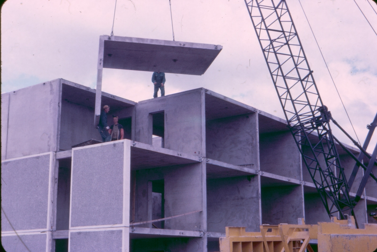 Bilder från arbetsplatsen omkring 1967-68.
