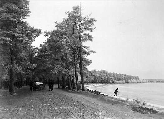 Strandvägen omkr 1900-talet. Här pågår isupptagning, is transporterades till olika platser på järnvägsvagnar. Se bilaga till 51736. Neg finns. Foto: Axel Sjöberg.