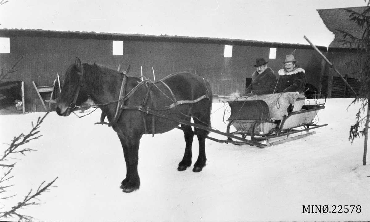 Hest og slede menn to menn. Gjermund og P.K. Grindflek kjører med hest og sluffe