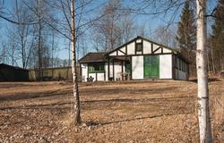 Odden/Askestua på Hovinsholm, Helgøya, Hedmark. Denne spesie