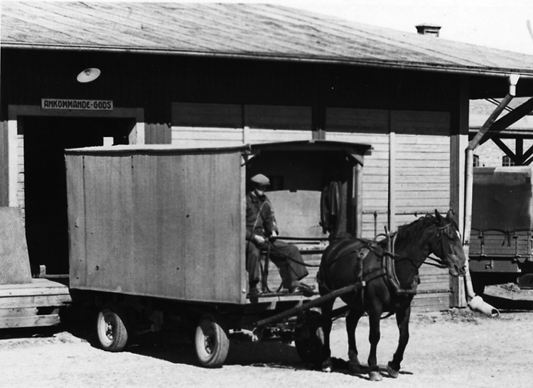 Erik Sahlström med sin häst "Dolly". Sahlström utförde under åren 1963-1972 transporter av gods såväl ankommande som avgående från trafikanter inom staden.
