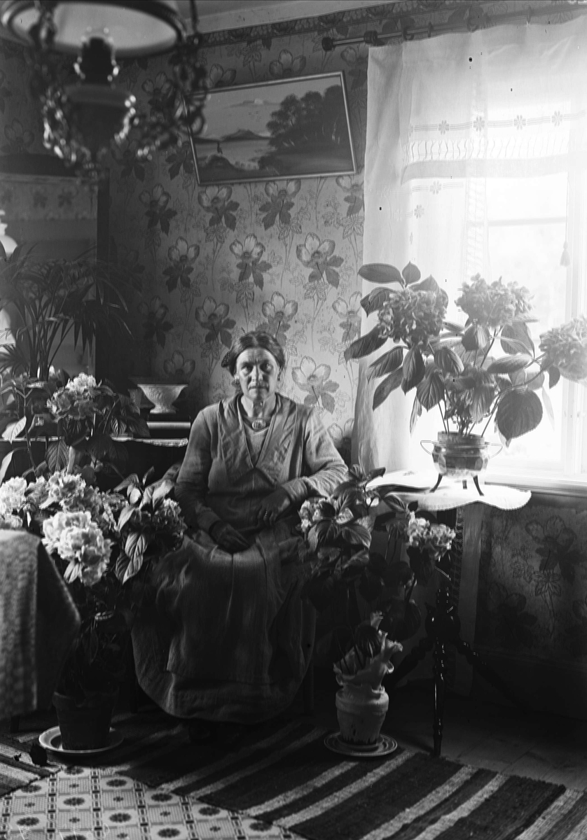"Fru Agnes Johanson Skinnarbo", Simtuna socken, Uppland 1925