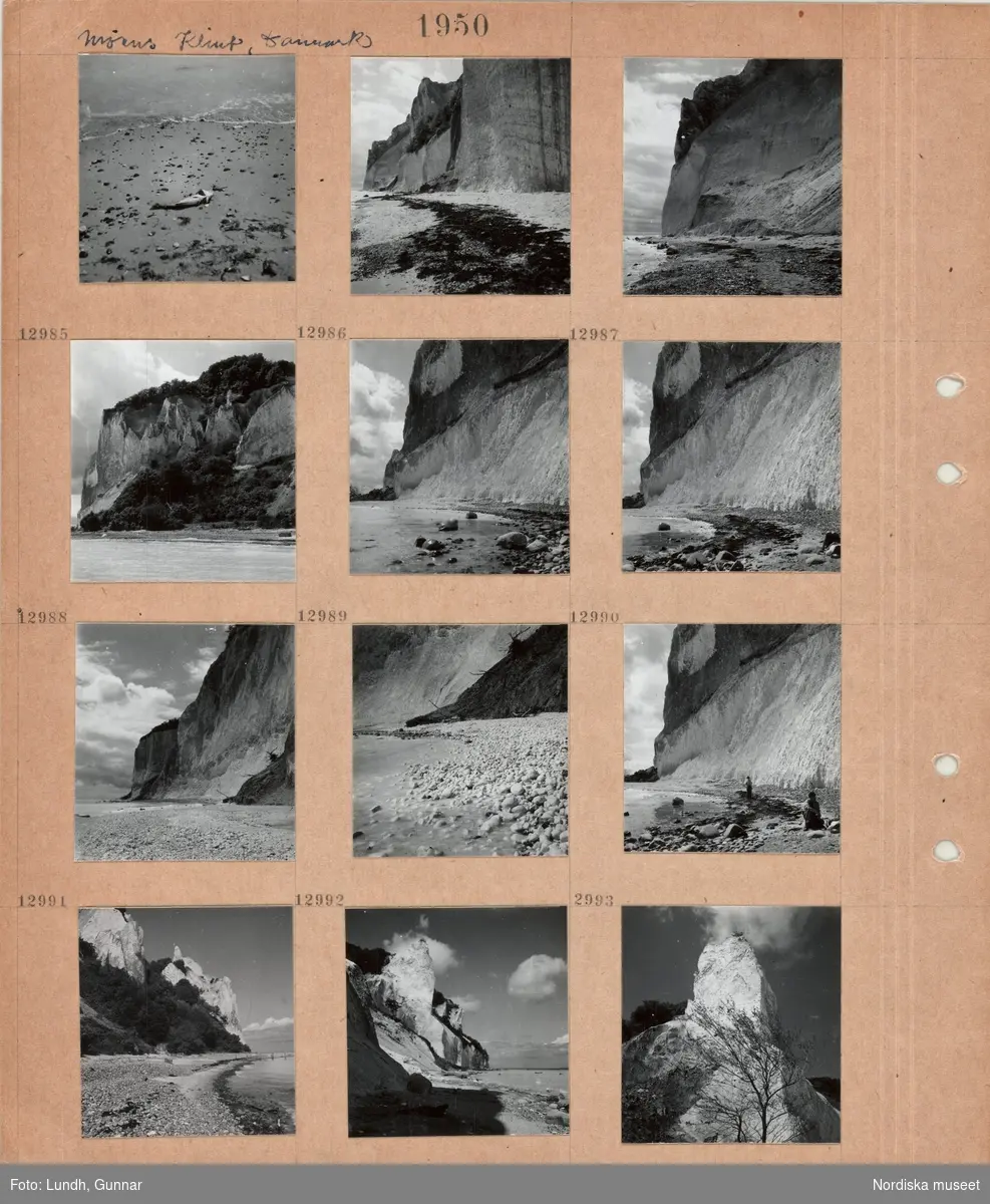 Motiv: Danmark, Möens klint, död fisk på sandstrand, höga kritklippor vid havet, strand med sand och kullersten, två män på stranden, trädklädda sluttningar.