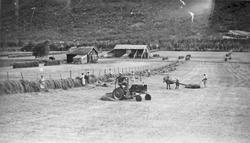 Høyonn, traktor, hest, personer, hesje, gårdsbruk.