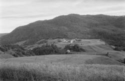 Motiver fra Skaland/Søfting.