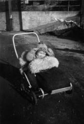 Astrid Mollan f 1949. Fra Nordmøre Museums fotosamlinger.