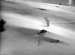 Datering er ukjent, men trolig omkring 1950 til 1960. Fra No