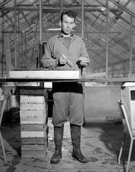 Norsk landbruks jubileumsutstilling 1959.  Gartneri, priklin