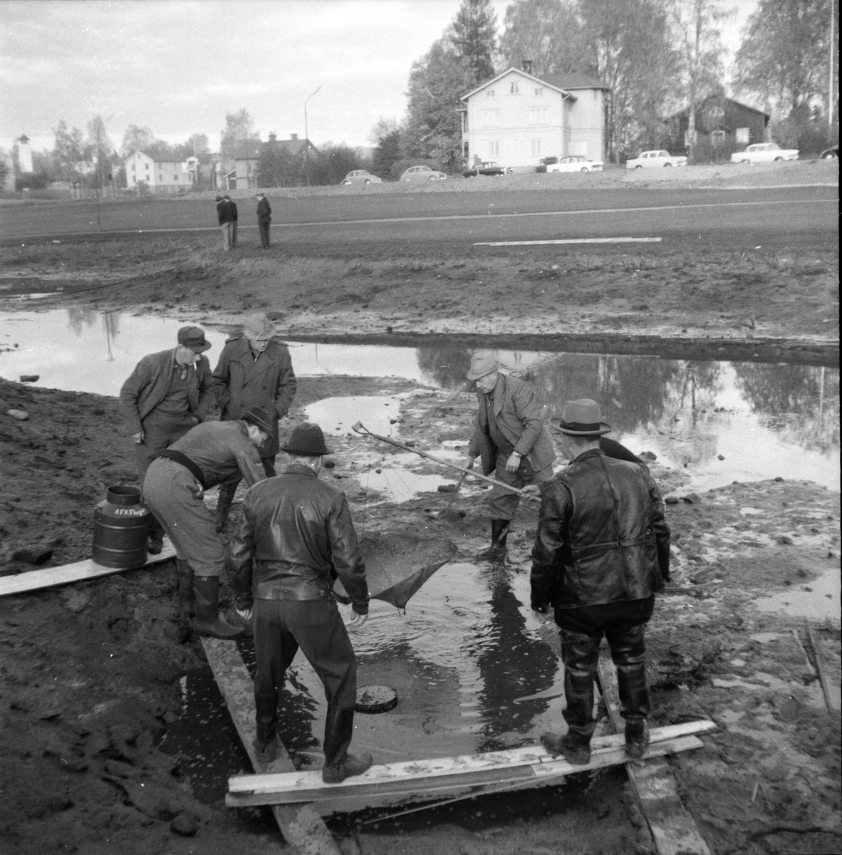Flugan,
Amatör fiskeklubb,
Håvning av öring,
11 Oktober 1959