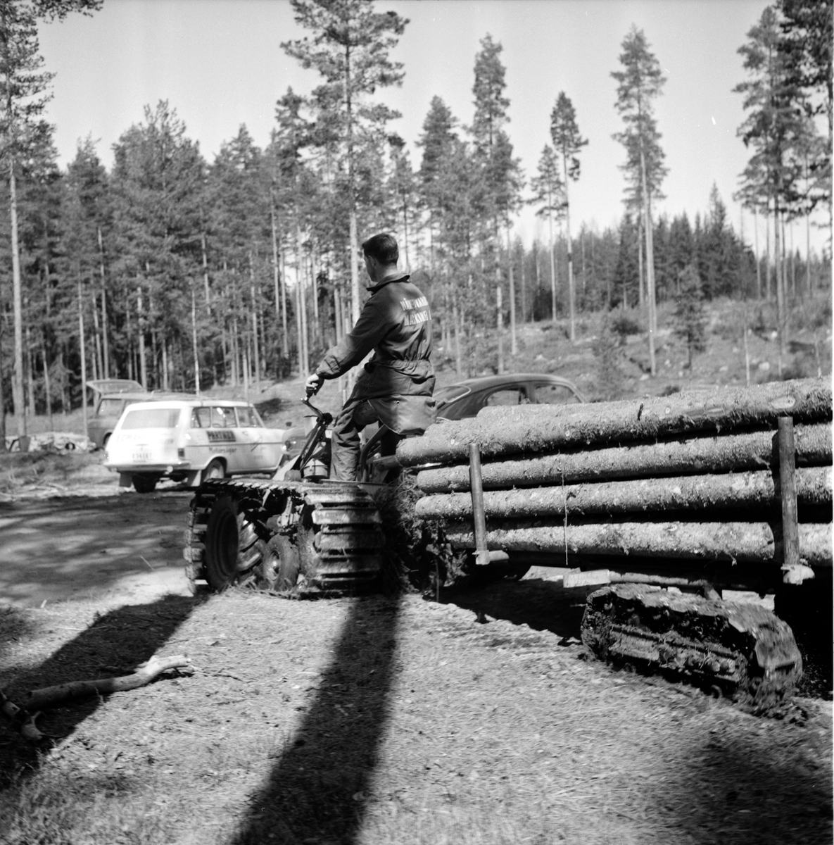 Timmerbjörn demonstreras,
5 Maj 1965
