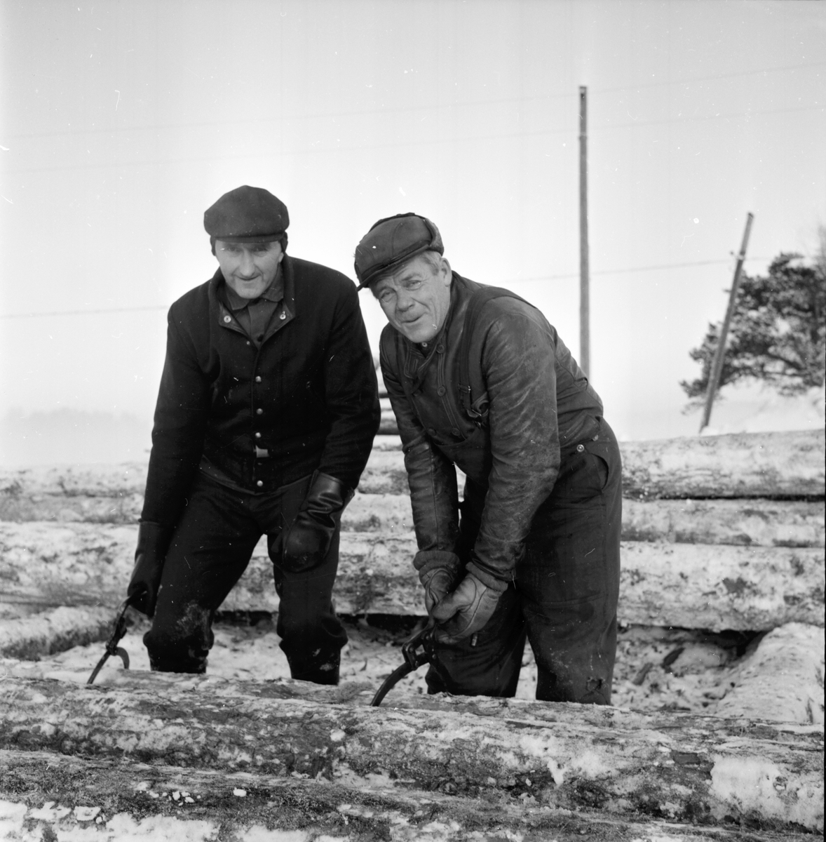Kyliga arbetsplatser,
19 Jan 1966
Två män hanterar timmer med timmersax på vintern.