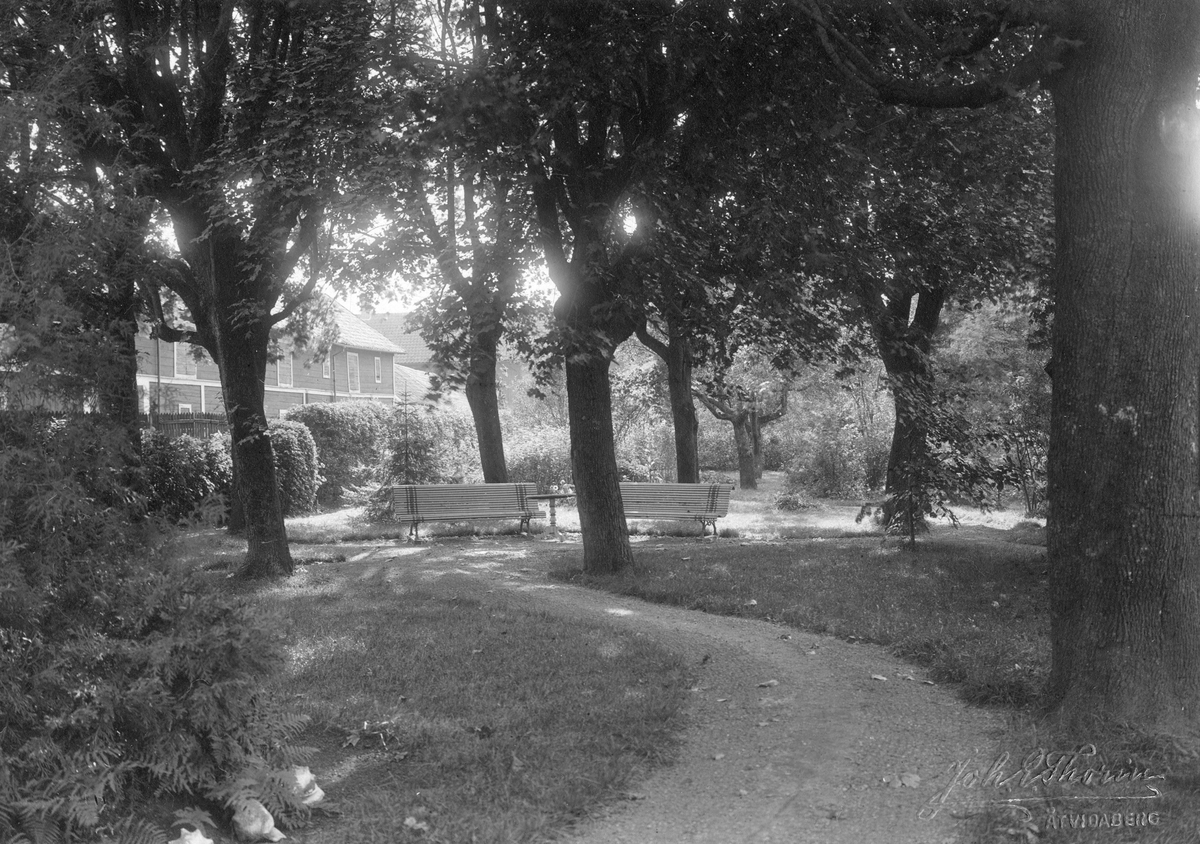 Parkmiljö i Skänninge 1913. Platsen har inte lokaliserats.