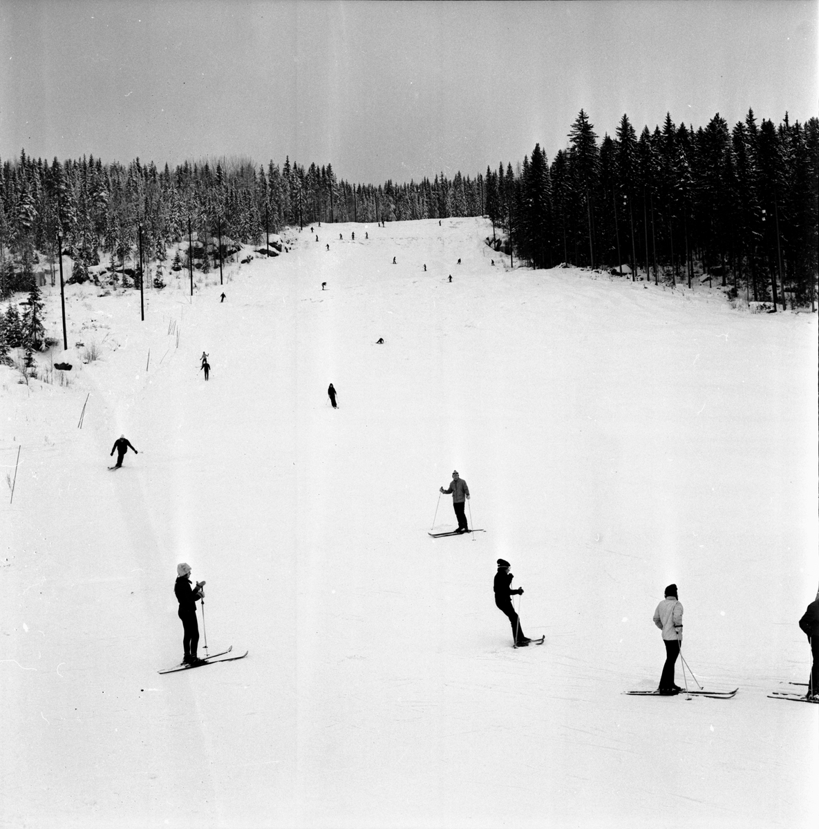 Åsberget,
Skiddag,
Febr 1972