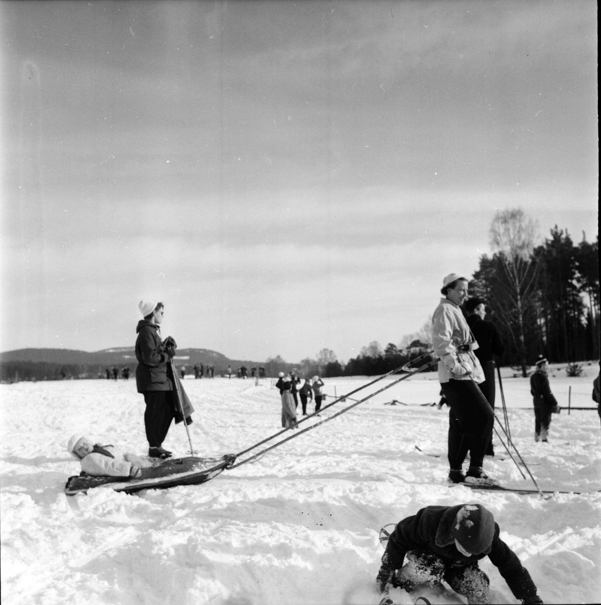 Arbrå,
Slädfärd f. SMF juniorer,
1956