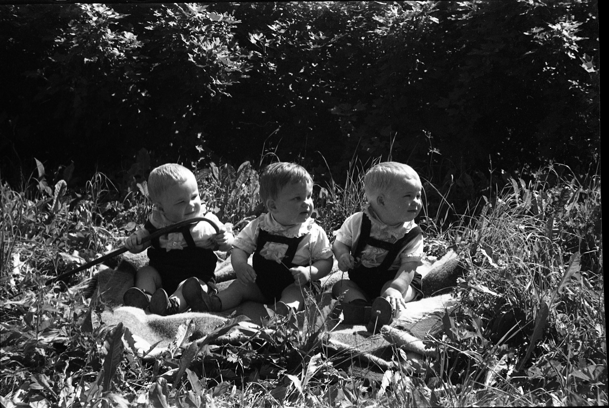 Portrett av tre små barn. Serie på sju bilder der plasseringen er litt forskjellig. Den med mørkest hår er Terje Balke fra Balke Vestre, de to andre tvillingene Knut og Jan Ørud fra Ørud.