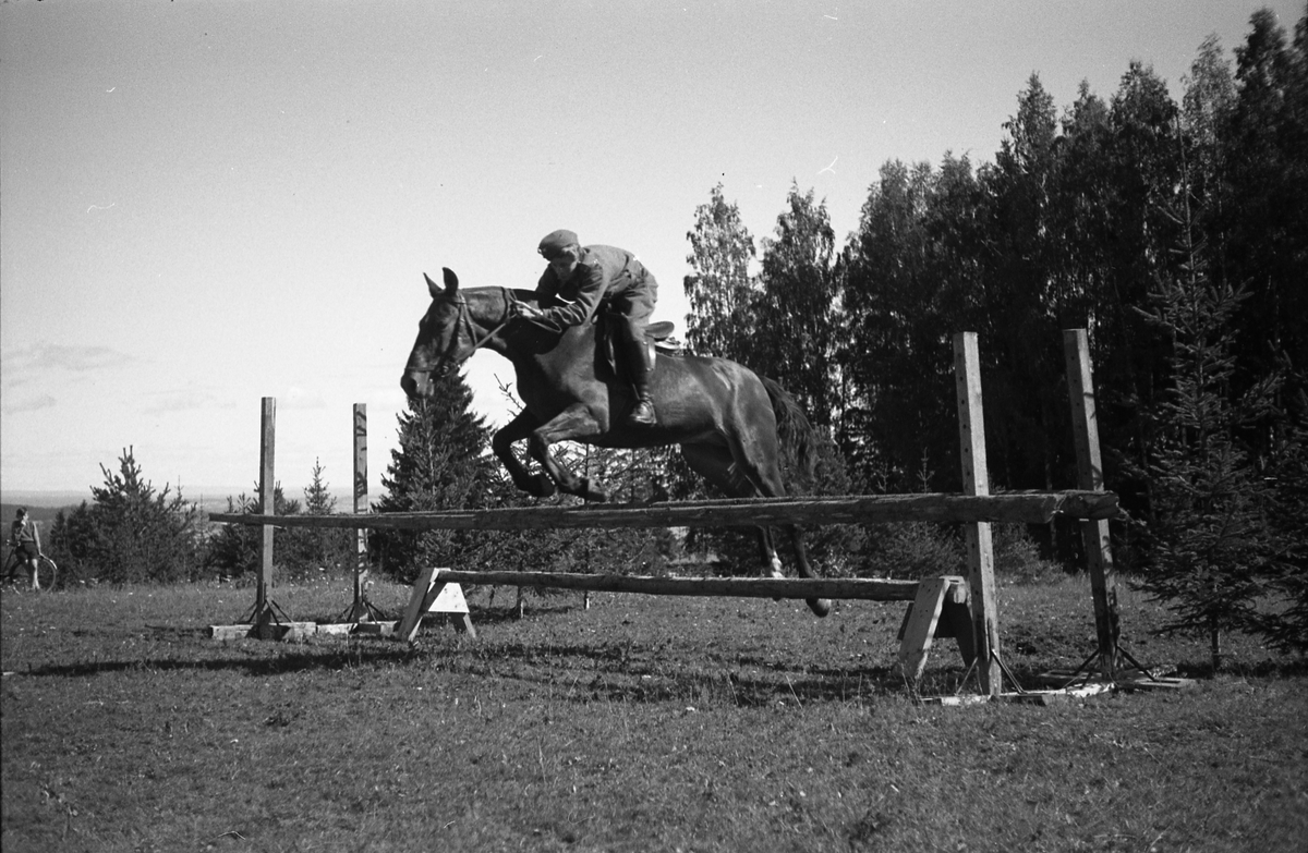 Militære sprangryttere ved Hærens Hesteskole på Starum august/september 1948. Serie på 26 bilder. Ingen av rytterne er identifisert.