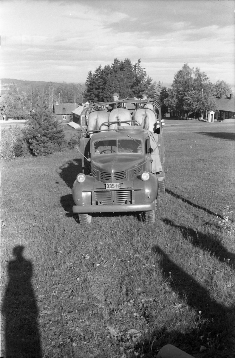 Transport av hest med lastebil ved Hærens Hesteskole på Starum, september/oktober 1948. Serie på 17 bilder. På bilde nr. 4 står fra venstre: Kaptein Sverre Norli, trolig major Bjart Ording (plasskomandant), og sersjant Ottar Markeng.