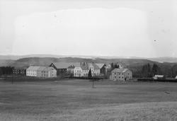 Mære landbruksskole