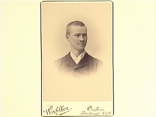 Porträtt av Em. Ljungström.
Ingenjör.