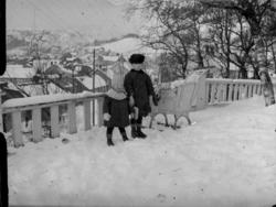 Utsikt fra Villaen «Alfheim»..Overhallsvegen i bakgrunnen.