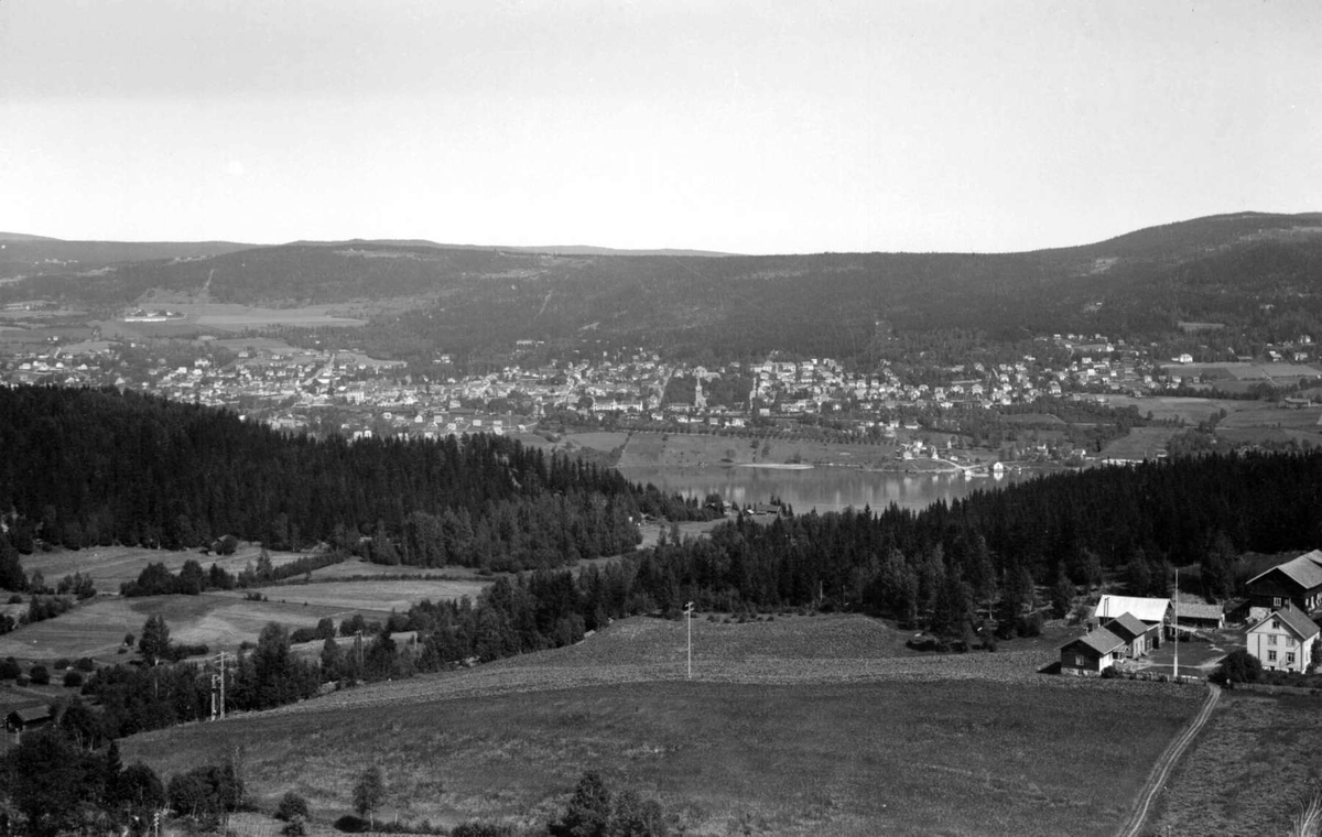 Lillehammer sett fra Vingnesåasen.