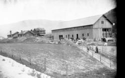 Nøreim med bolig og uthus,hester og kjyr.