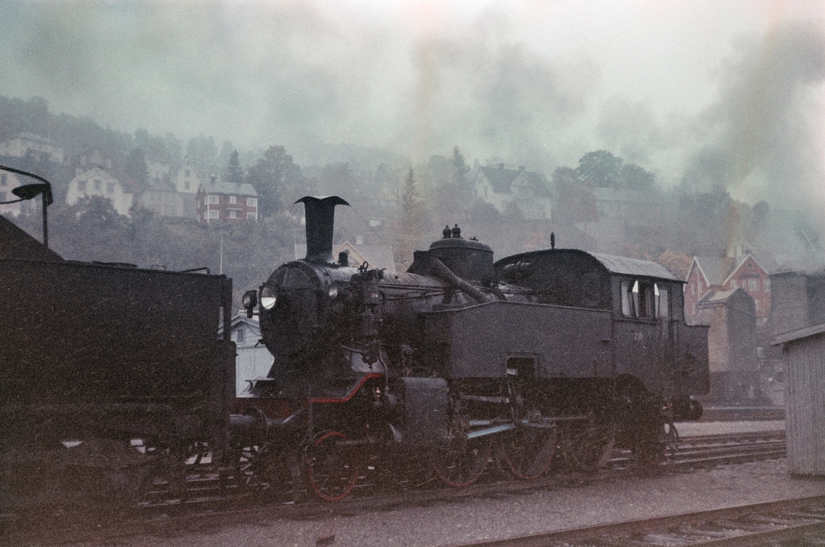 Damplokomotiv type 32a nr. 291 på driftsbanegården ved Marienborg ved Trondheim.