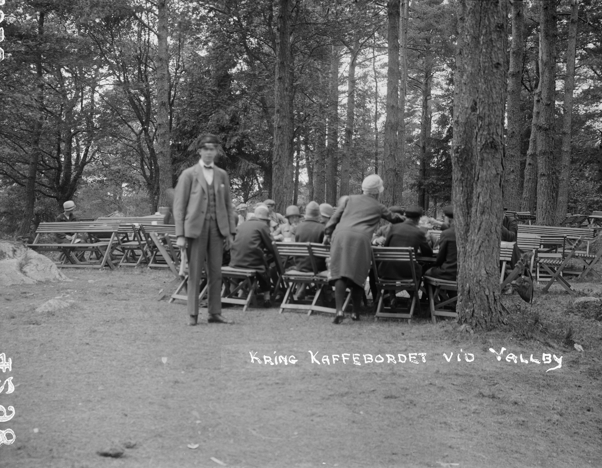 "Spridda grupper i parken vid Vallby friluftsmuseum", Västerås 1927
