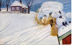 Postkort, julekort kornnek med dompapp.